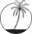 thinkpalma